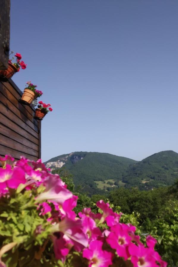 Au chalet d'Anna Saint-Rambert-en-Bugey Exterior foto